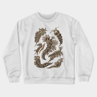 Ernst Haeckel Nudibranchia Sea Slug Wenge Crewneck Sweatshirt